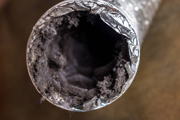 Best Affordable Air Duct Cleaning  in Calhoun, GA